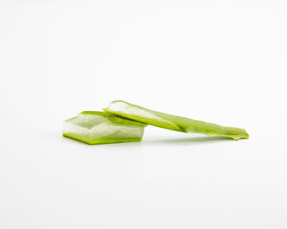 Les 10 effets incroyables de l’Aloe Vera sur vos cheveux